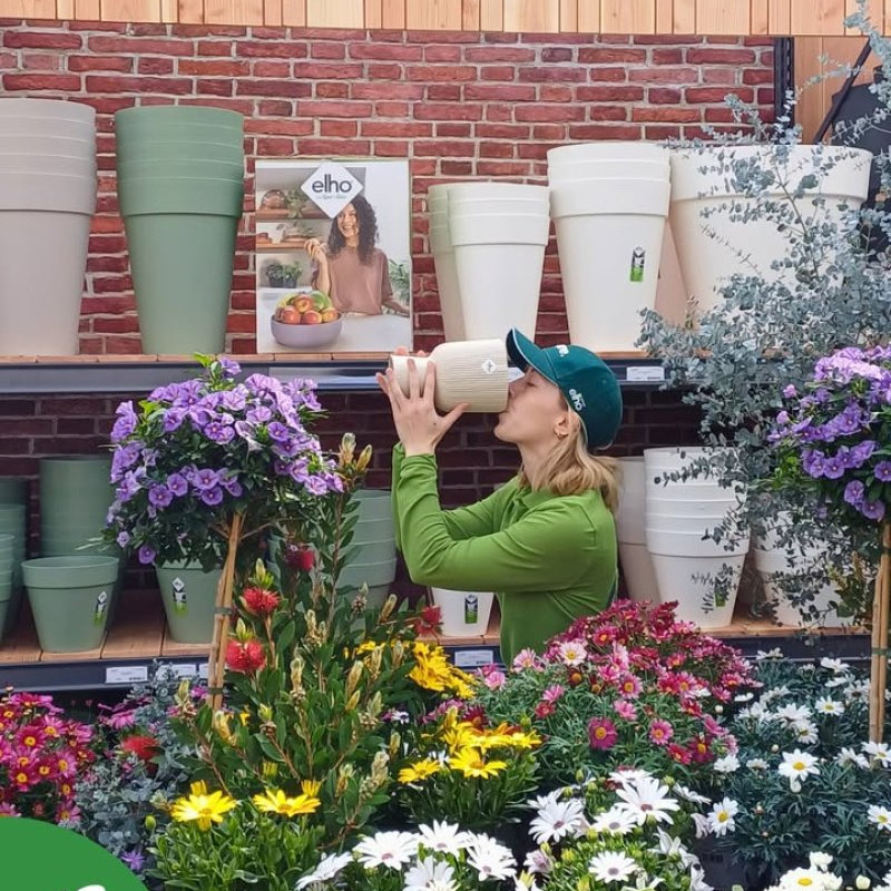 Lavendel hier, Bambus dort,...