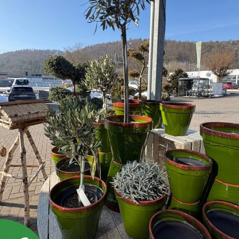 Bunte Töpfe gegen graue...